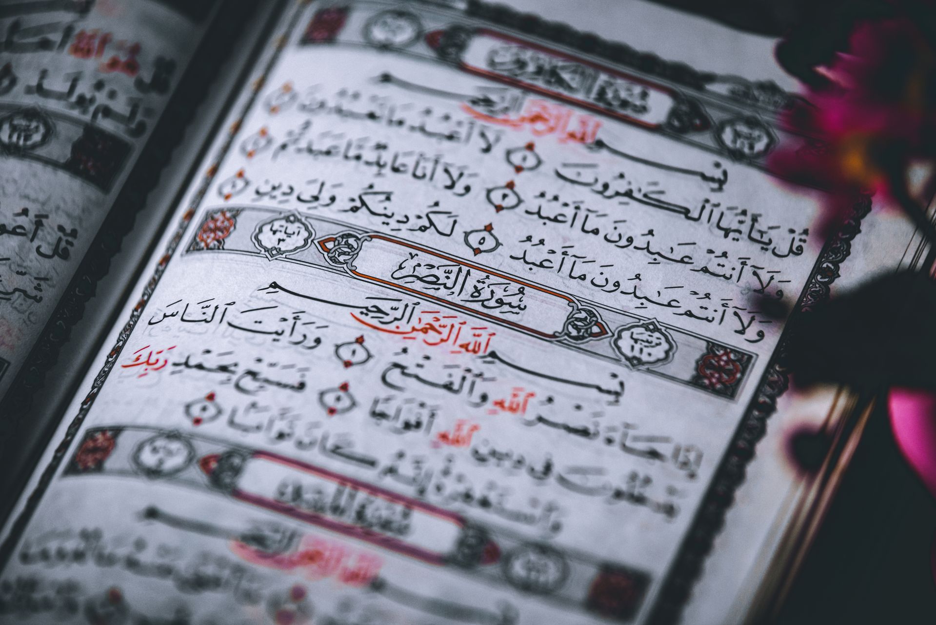 قلفيب